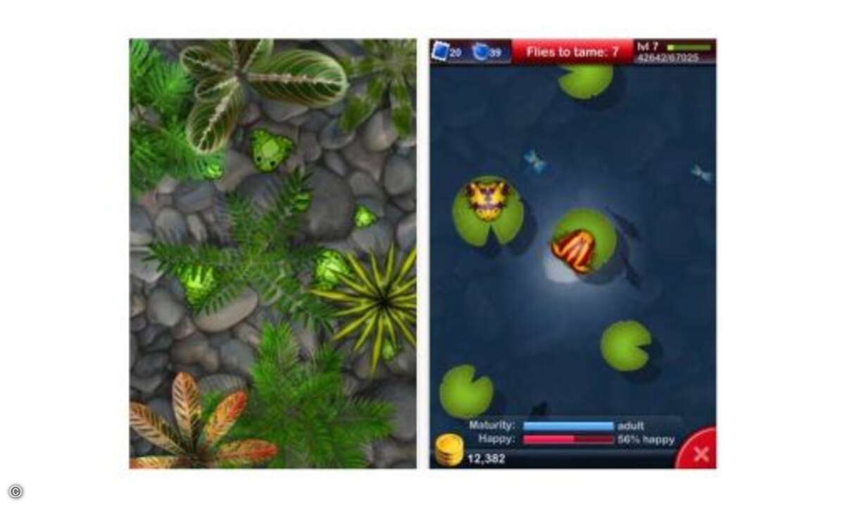 Pocket Frogs (Universelle Version für alle Plattformen: kostenlos): Gerade mal wenige Tage alt, haben die