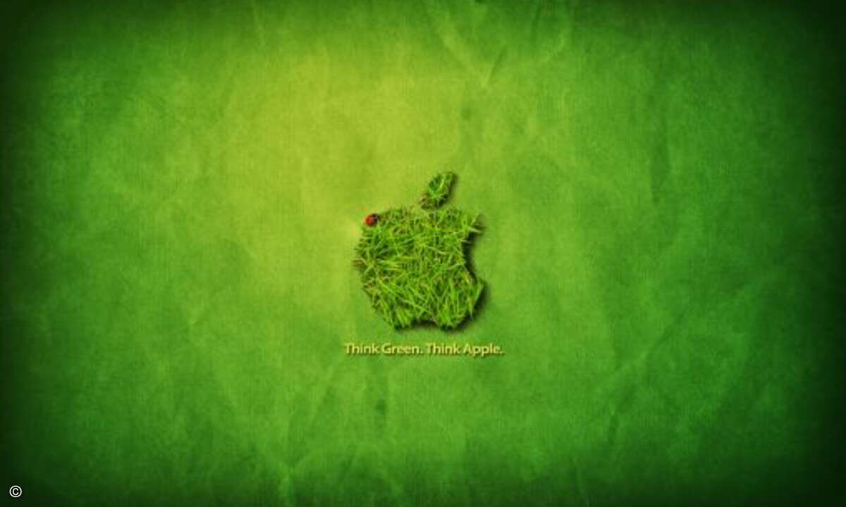 Platz 19 (65): Apple