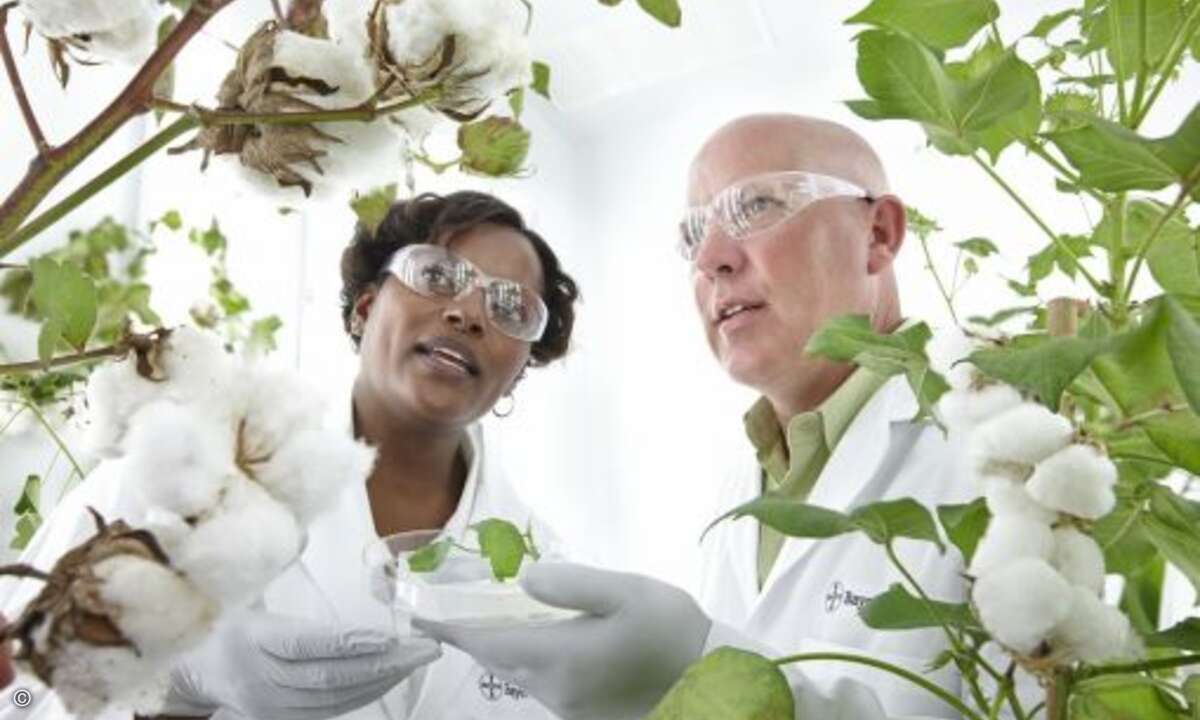Pflanzen der Zukunft: BAYER AG