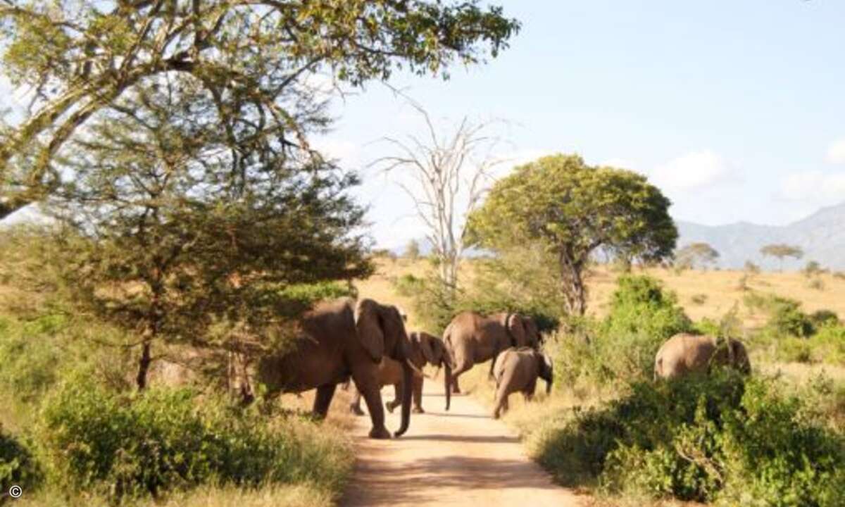 Epsilon Telecom lud glückliche Incentive-Gewinner zu einer Reise nach Kenia