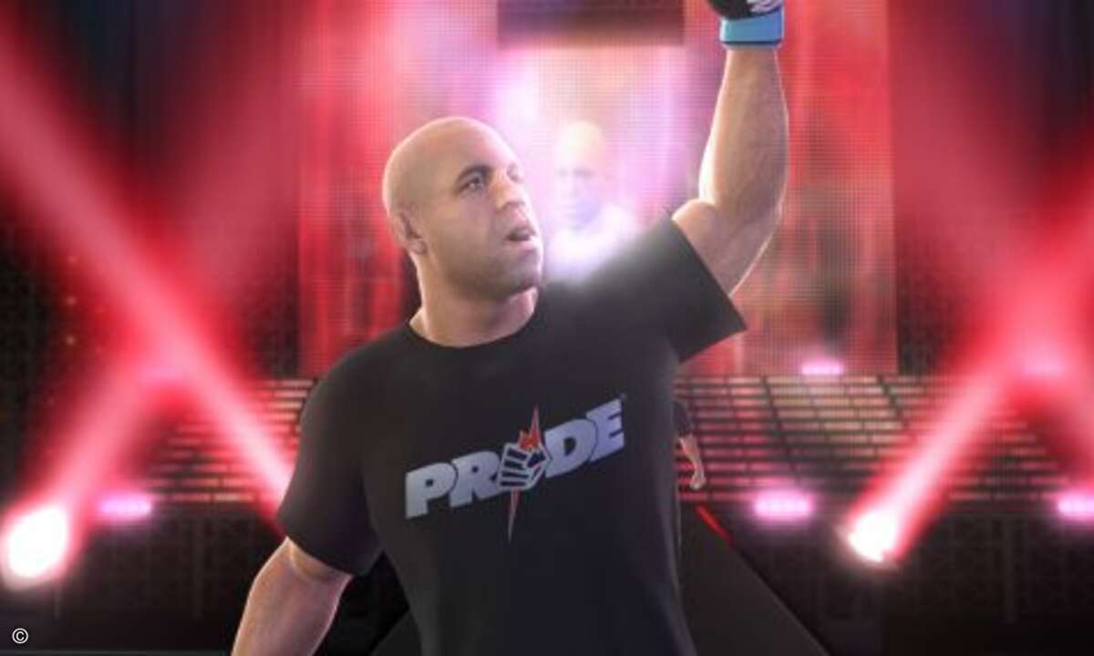Manche Kämpfer sind so gefährlich, dass sie in einen Käfig gesperrt werden müssen: Ultimate Fighting Challenge Undisputed 3