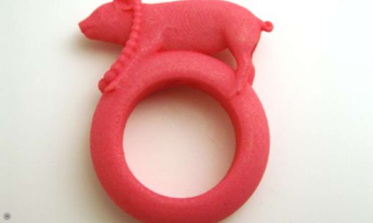 Ein weiteres Betätigungsfeld sind selbstdesignte 3D-Schmuckstücke wie dieser Ring ...