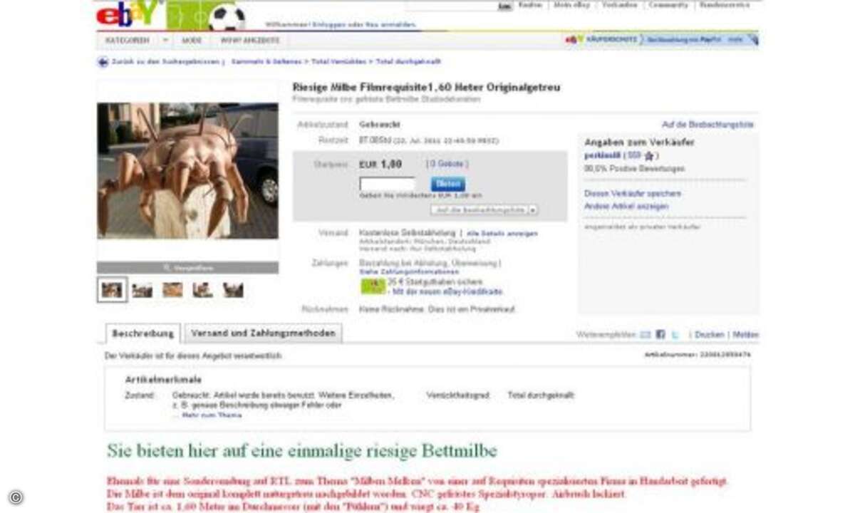 Was für´s (Allergiker-)Bett: Eine Riesen-Milbe für nur einen Euro