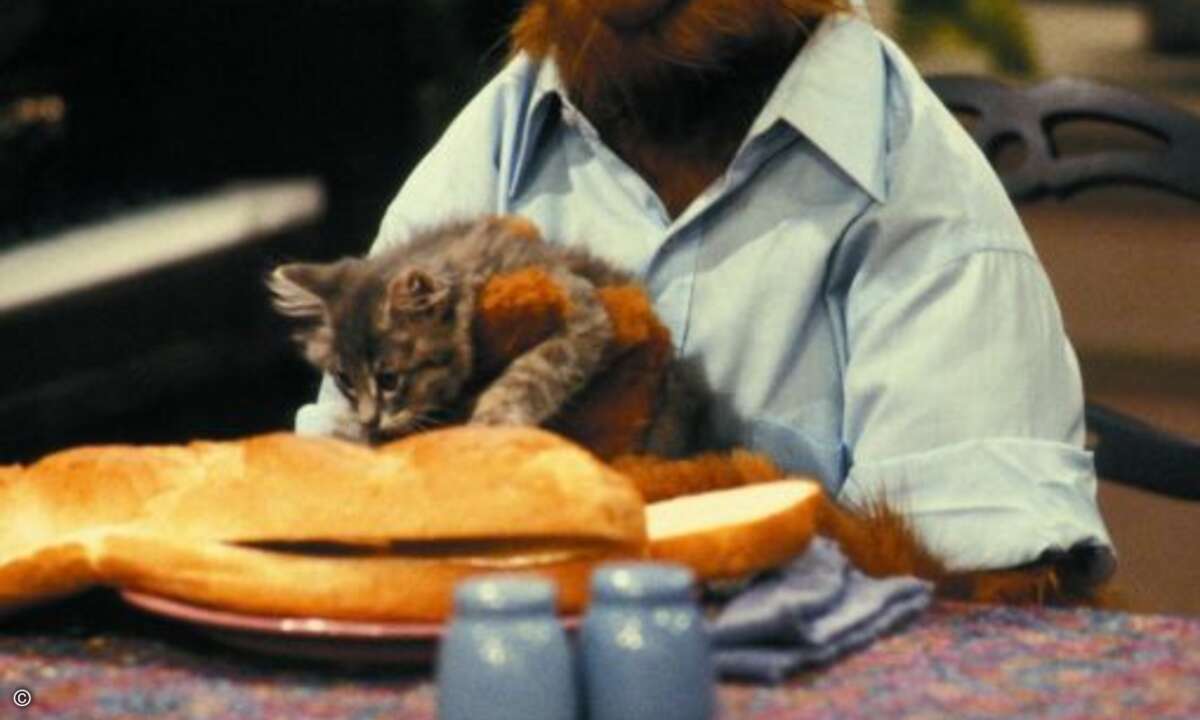 Platz 2: Alf (Alf)