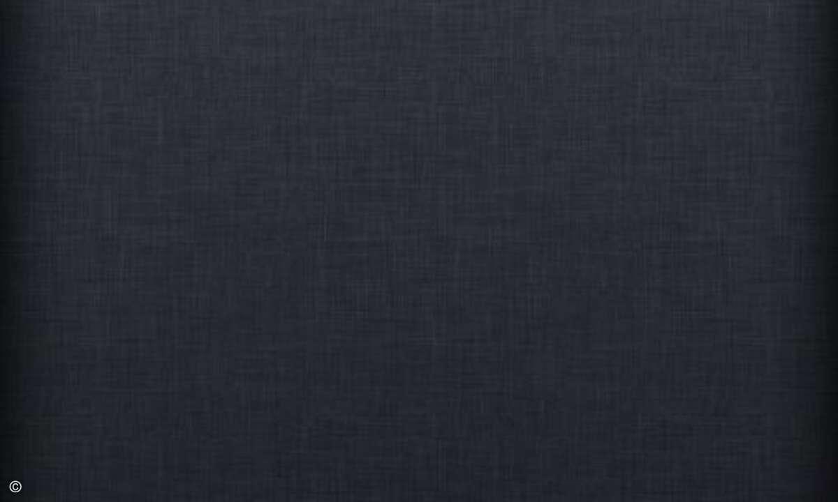 Es gibt aber offenbar Fragen, die darf man der Sekretärin stellen, aber nicht Siri.