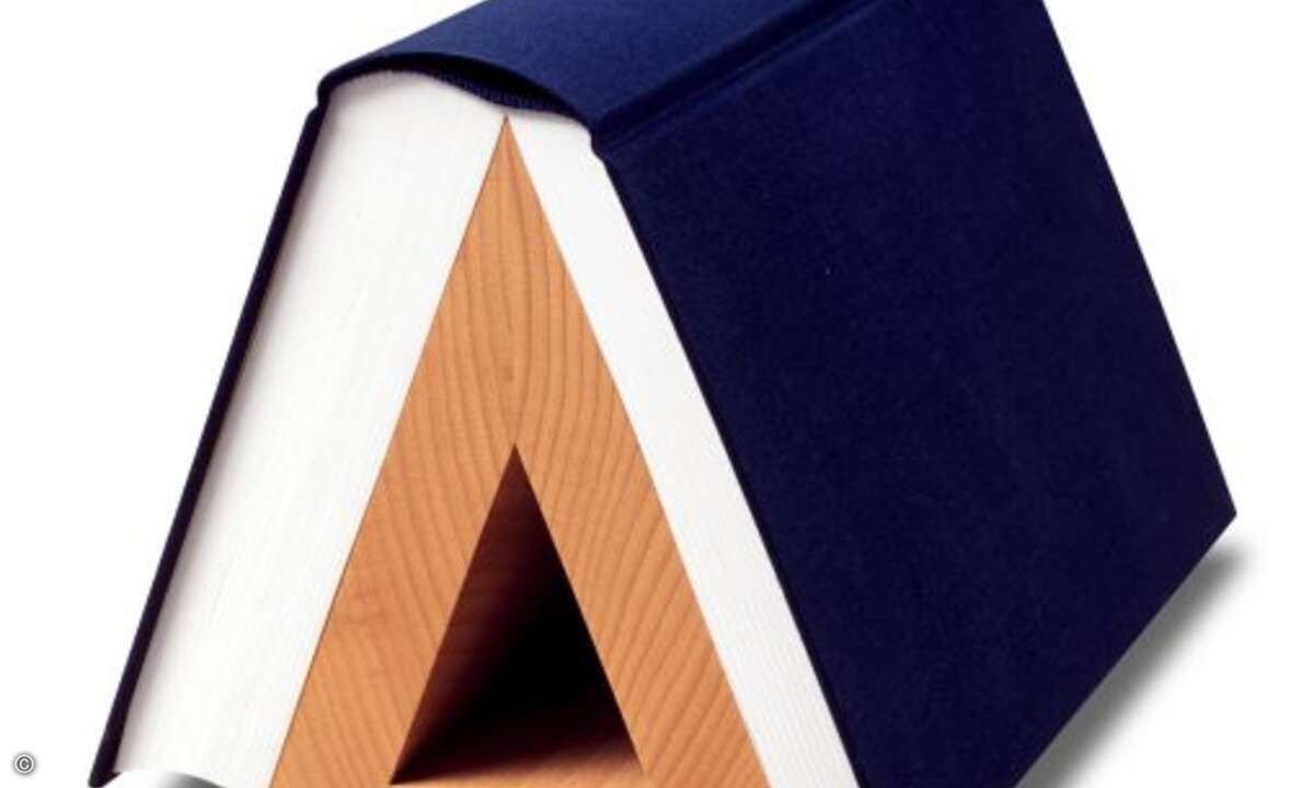 Platz 10: Bücher. Im vorigen Jahr noch auf dem ersten Rang, ist der klassische Lesestoff dieses Jahr deutlich zurück gefallen.