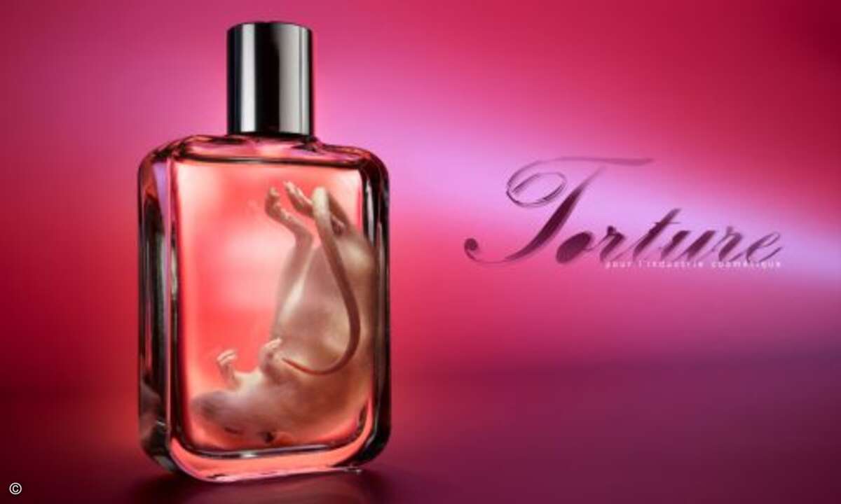 Platz 7: Parfum hält sich wacker unter den Top 10 der Weihnachtsgeschenke. Wem gar nichts anderes einfällt, der ist damit sicher gut beraten...
