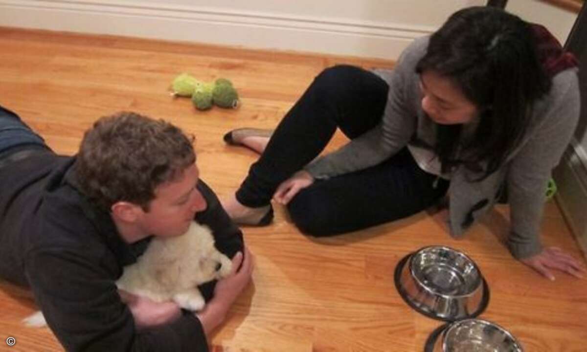 Der neidische Blick auf den Schmusehund spricht jedenfalls Bände... (Bild: Mark Zuckerberg / Facebook)