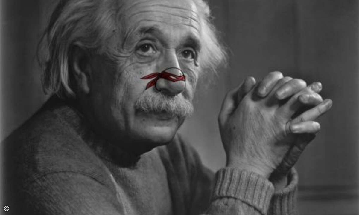 Einer der ersten Schildkrötenfans war Albert Einstein, den die relative Ähnlichkeit seiner Nase mit einem Turtle auf eine wichtige Idee brachte...