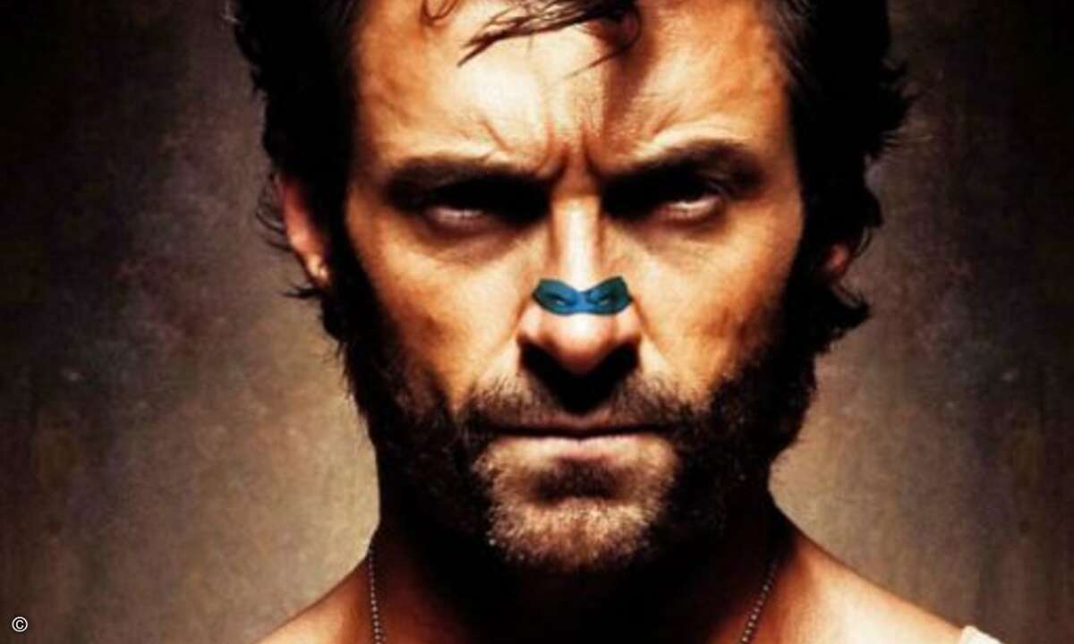 Der Wolverine im Schildkrötenpelz.
