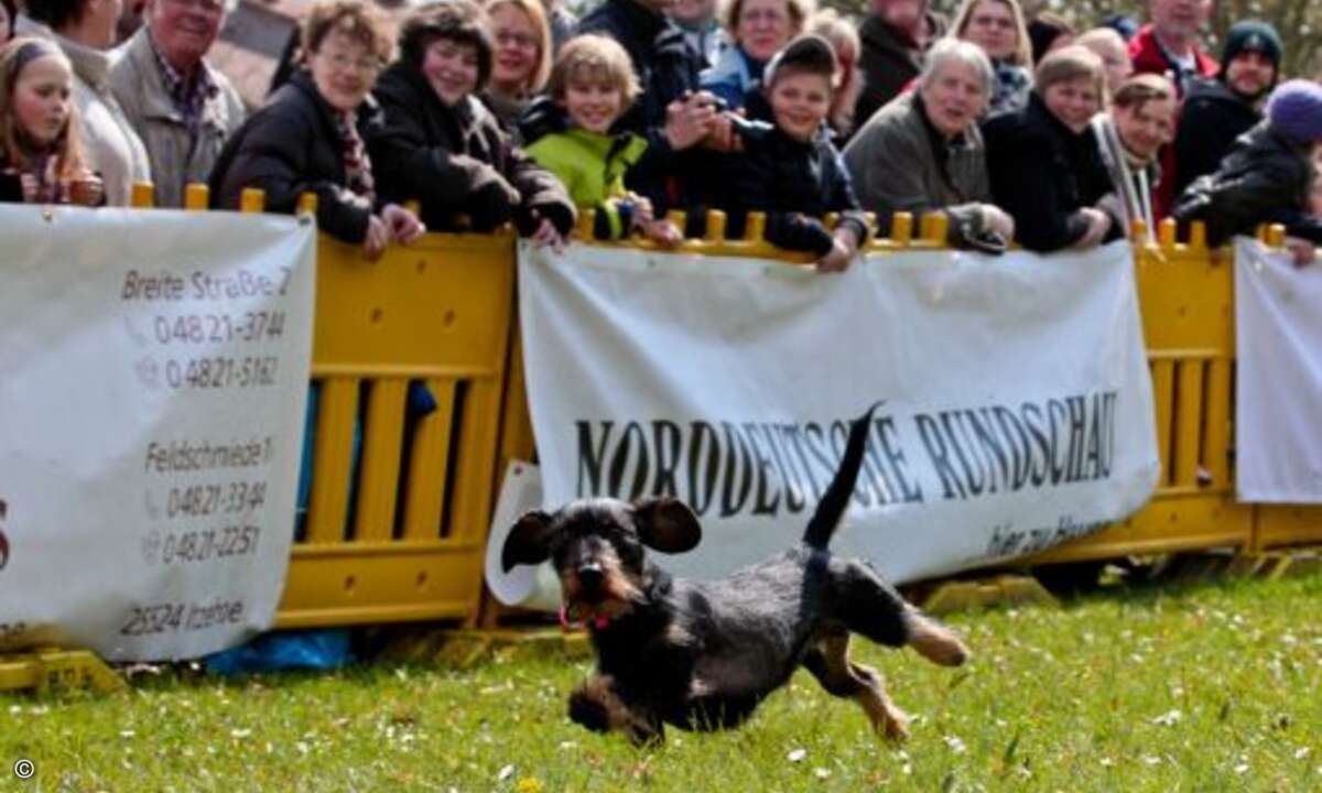 Sportlich, dynamisch und fotogen – das wünschen sich viele Sportler ©D. Jacobs Stonecastlerock Itzehoe