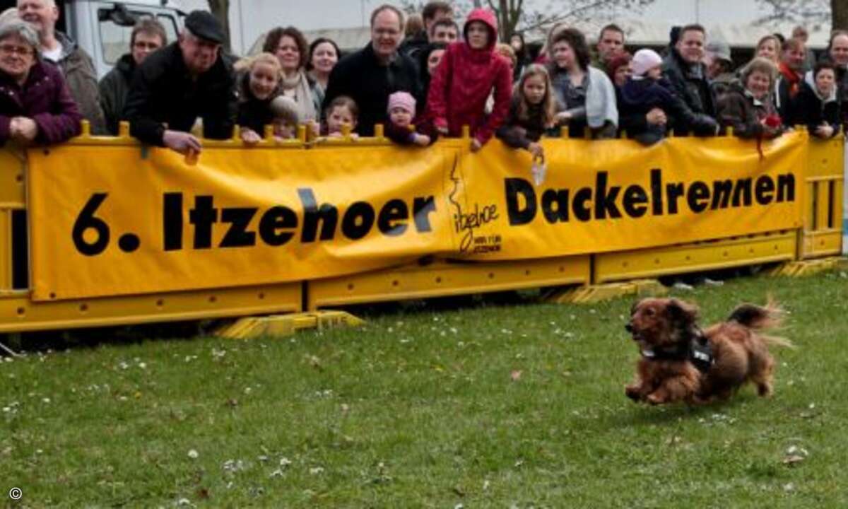 Bei dem Tempo hilft nicht mal »Drei-Wetter-Taft« ©D. Jacobs Stonecastlerock Itzehoe