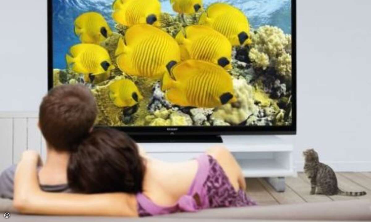 Mit einer atemberaubenden Bildschirmdiagonale von 203 Zentimetern (80 Zoll) lässt der Sharp AQUOS LC-80LE645E alle herkömmlichen Großbild-TVs winzig erscheinen. Für ganz große Sport- und Heimkino-Momente soll die realitätsgetreue Detailwiedergabe des