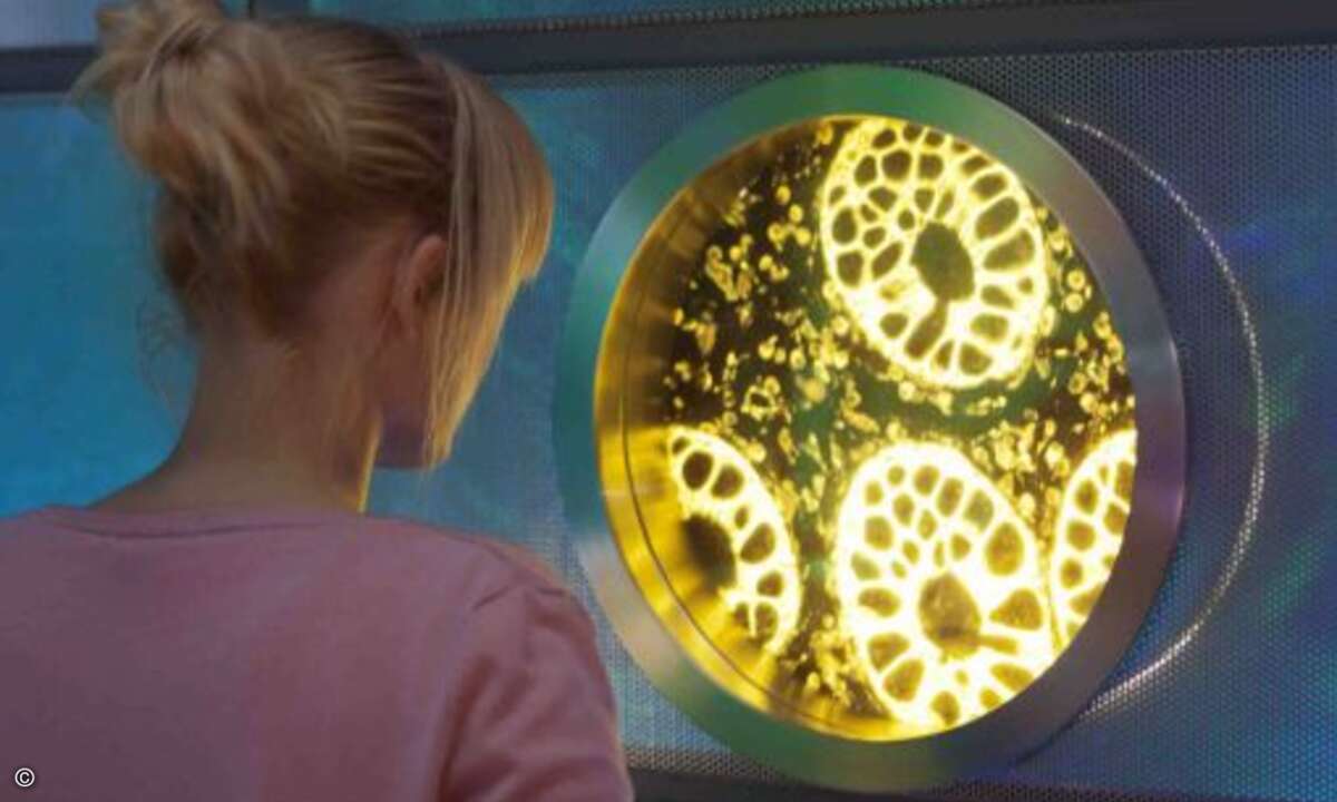 Das Max-Planck-Institut für molekulare Physiologie Dortmund hat für die Nano-Zone faszinierende Aufnahmen mit einem Fluoreszenz-Lichtmikroskop in rund 400facher Vergrößerung angefertigt (Foto: DASA).