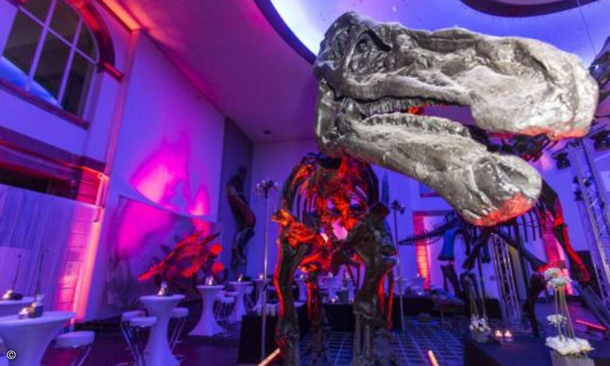 Evolution zum Anfassen bei der EMC-Party