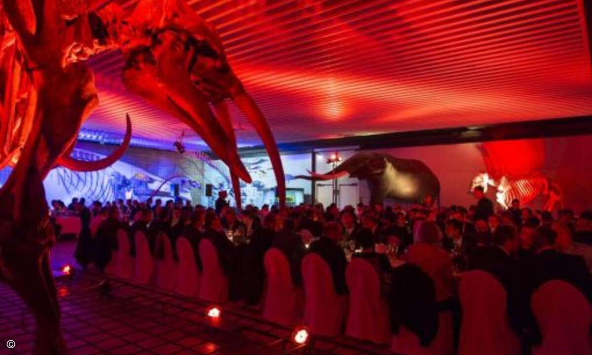 Das Abendessen wird es in gefährlicher Umgebungen serviert