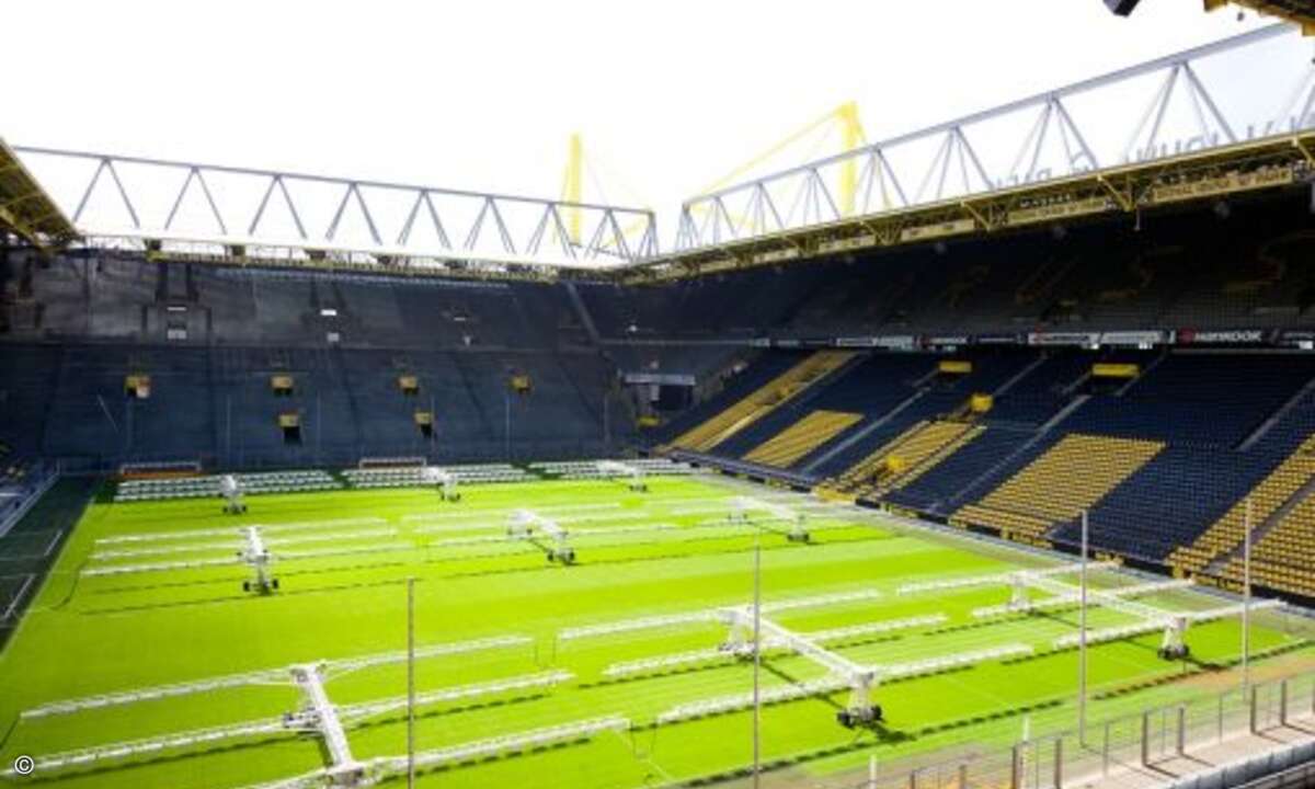 Tarox lud wieder in den Signal Iduna-Park (Bild: Tarox)
