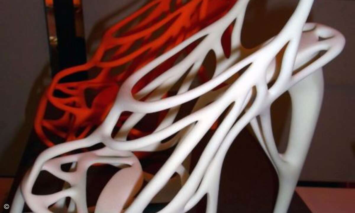Die Dame von Welt kann sich ihren Schuh heutzutage selber drucken (Bild: CRN)