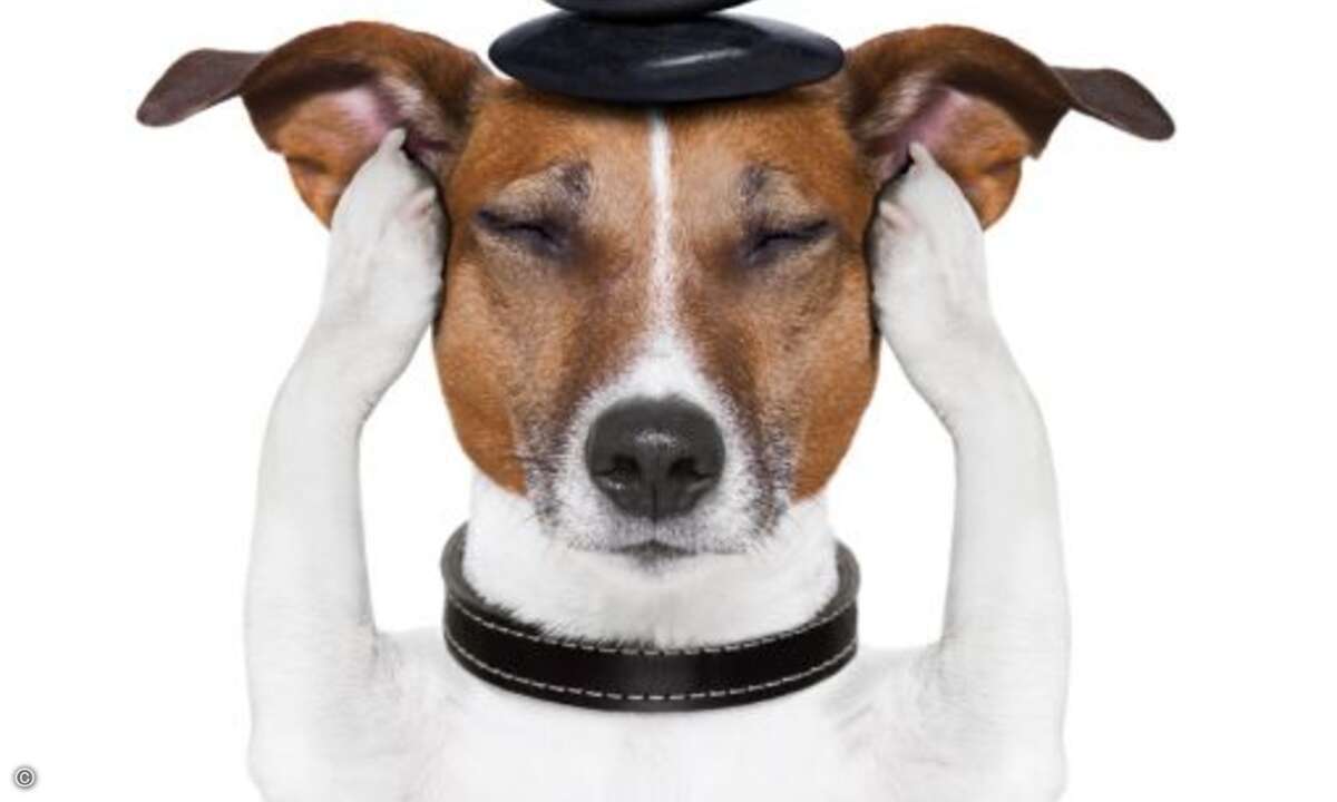 Platz 5: Ohrstöpsel in Fuß-Form. Nach dem Motto: Sitzt Du auf Deinen Ohren? Nein, ich stehe drauf. (Bild: javier brosch, fotolia.com)