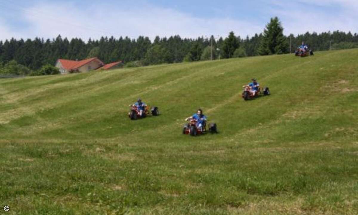 Kaum oben – schon gings rasant bergab: Mit dem Bullcart über saftige Wiesen