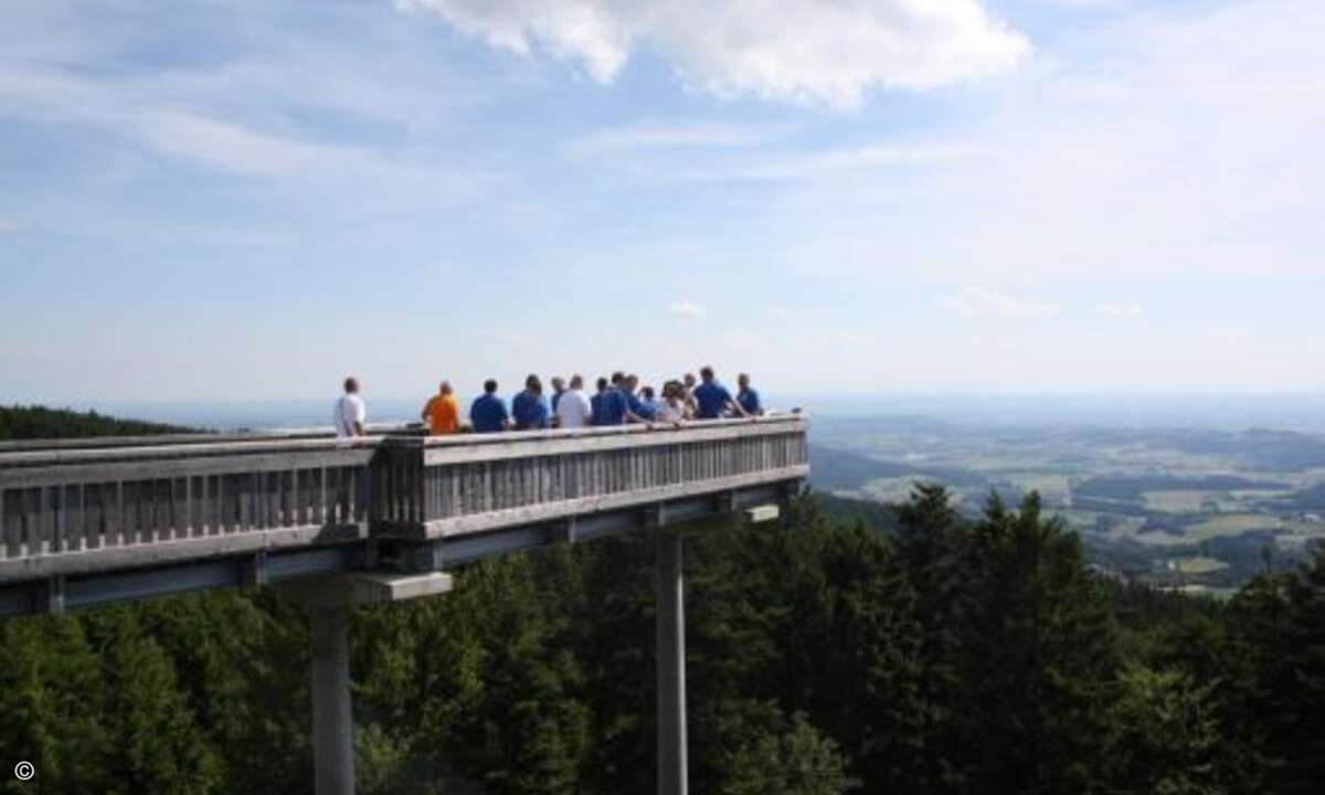 Apropos traumhaft: Die dritte Station führte die Rallye-Teilnehmer auf den Waldwipfelweg