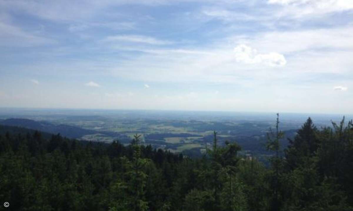 Das gleiche Motiv, jetzt aber ohne Gruppe