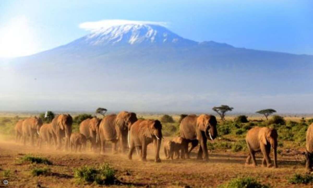 Kenia bringt es ebenfalls auf ein BIP von 41,1 Milliarden Dollar. (Foto: Fotolia / Christineo)