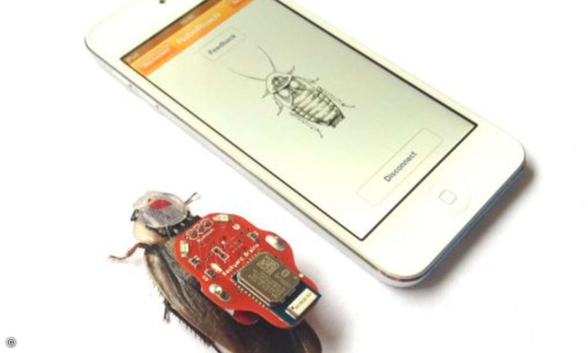 Manche befürchten angesichts dieser Cyborgs...(Bild: backyardbrains.com)