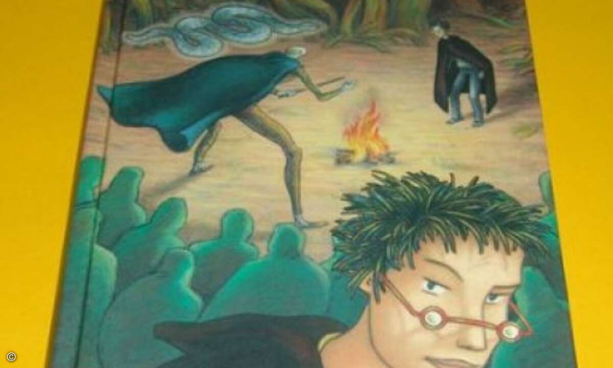 Verkaufsrang 14: Harry Potter und die Heiligtümer des Todes (Bild: Screenshot Amazon.de)