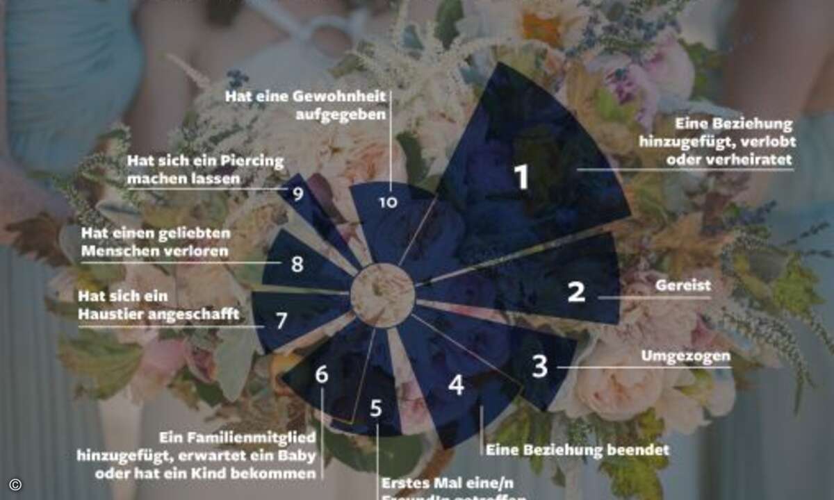 In ihrer Timeline erzählen die Nutzer genauso von neuen und überholten Beziehungen, wie von Piercings und schlechten Angewohnheiten. (Grafik: Facebook)