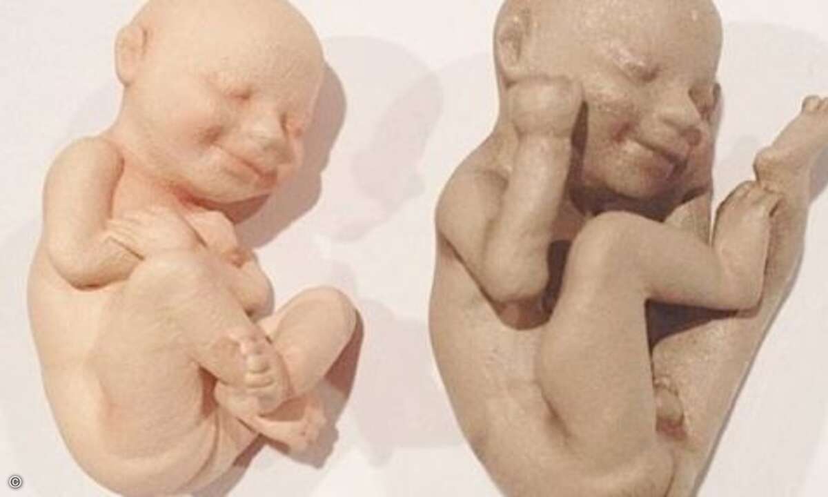 Ein Staubfänger fürs Regal: Das ungeborene Baby gibt es als 3D-Druck zu bestellen ... (Foto: 3D Babies)