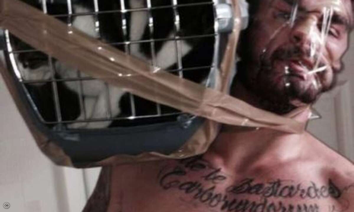 Wenn das Haustier immer dabei sein soll (Foto: Twitter)