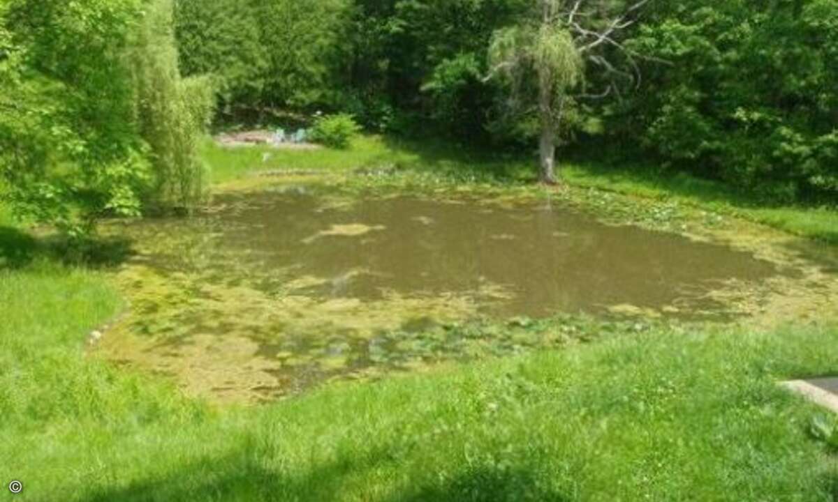 Ebenfalls sehr beliebt, gerade bei solventen Käufern: Ein selbst reinigender Schwimmteich als ökologisch korrekter Pool-Ersatz. Das lädt direkt zum Baden ein. (Bild: Screenshot, terriblerealestateagentphotos.com)
