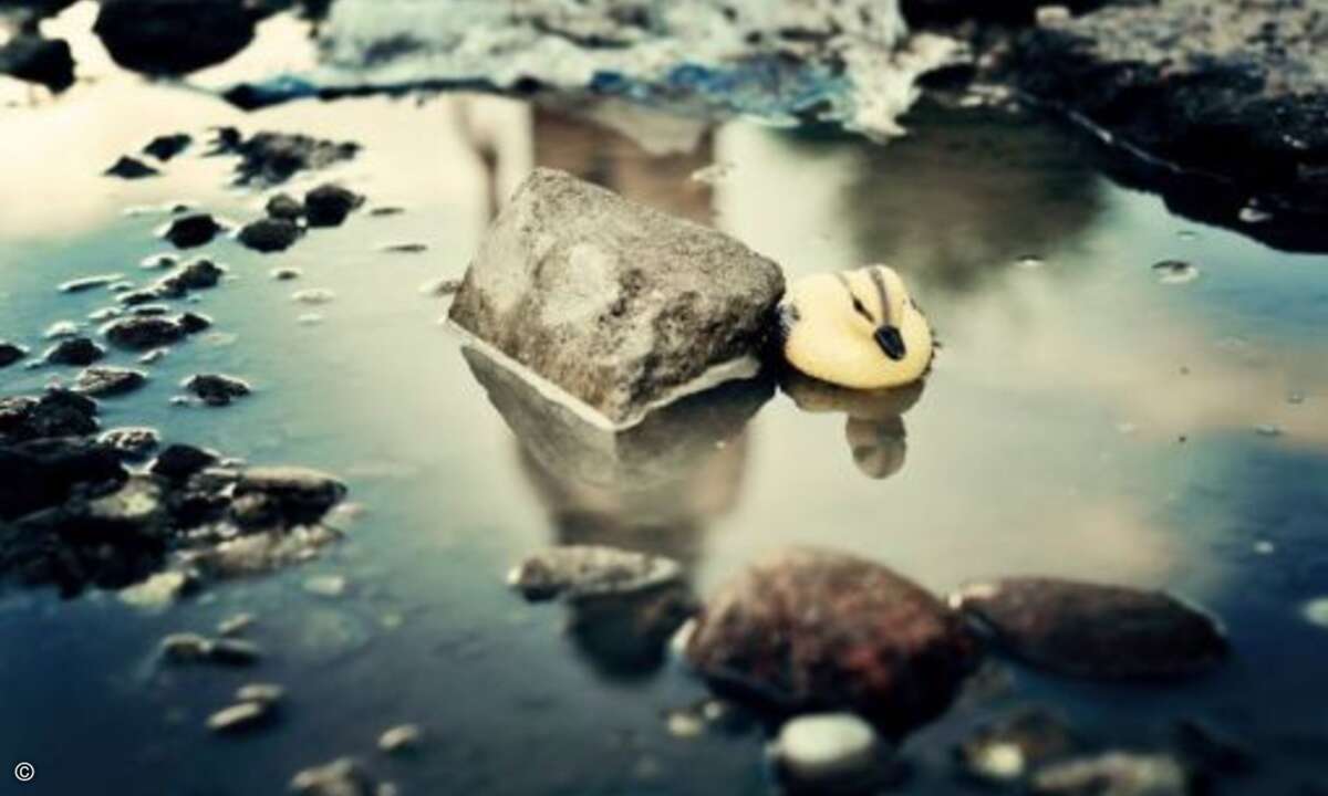 Ein See? Ein Teich? Nein - ein Schlagloch! (Foto: Bored Panda)