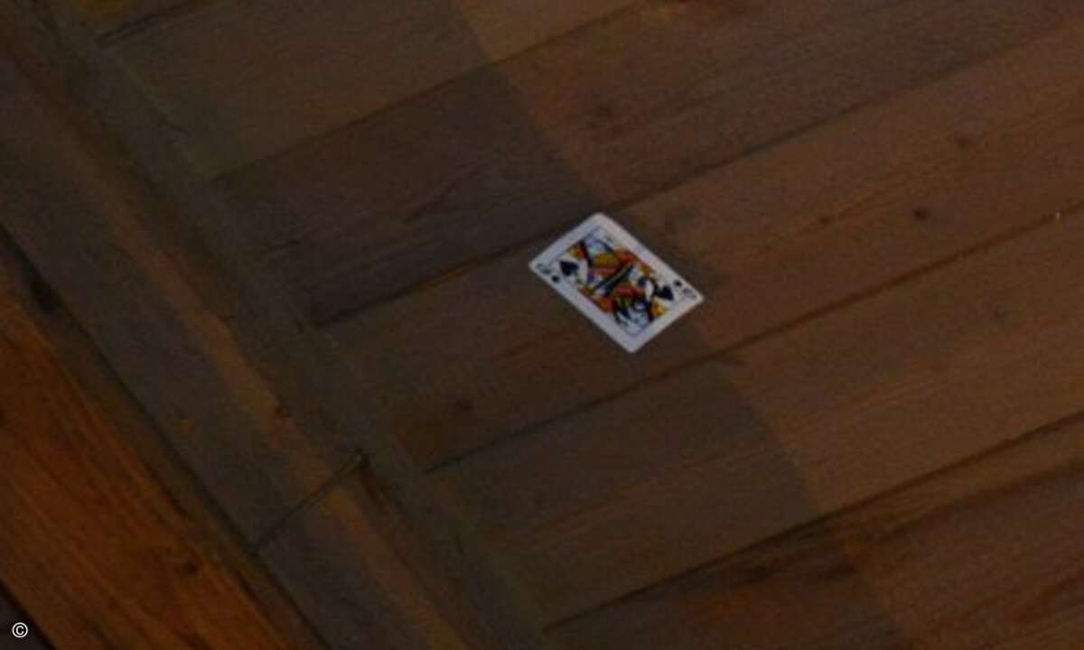 .. dann tauchte sie plötzlich an der Decke wieder auf (Foto: CRN)