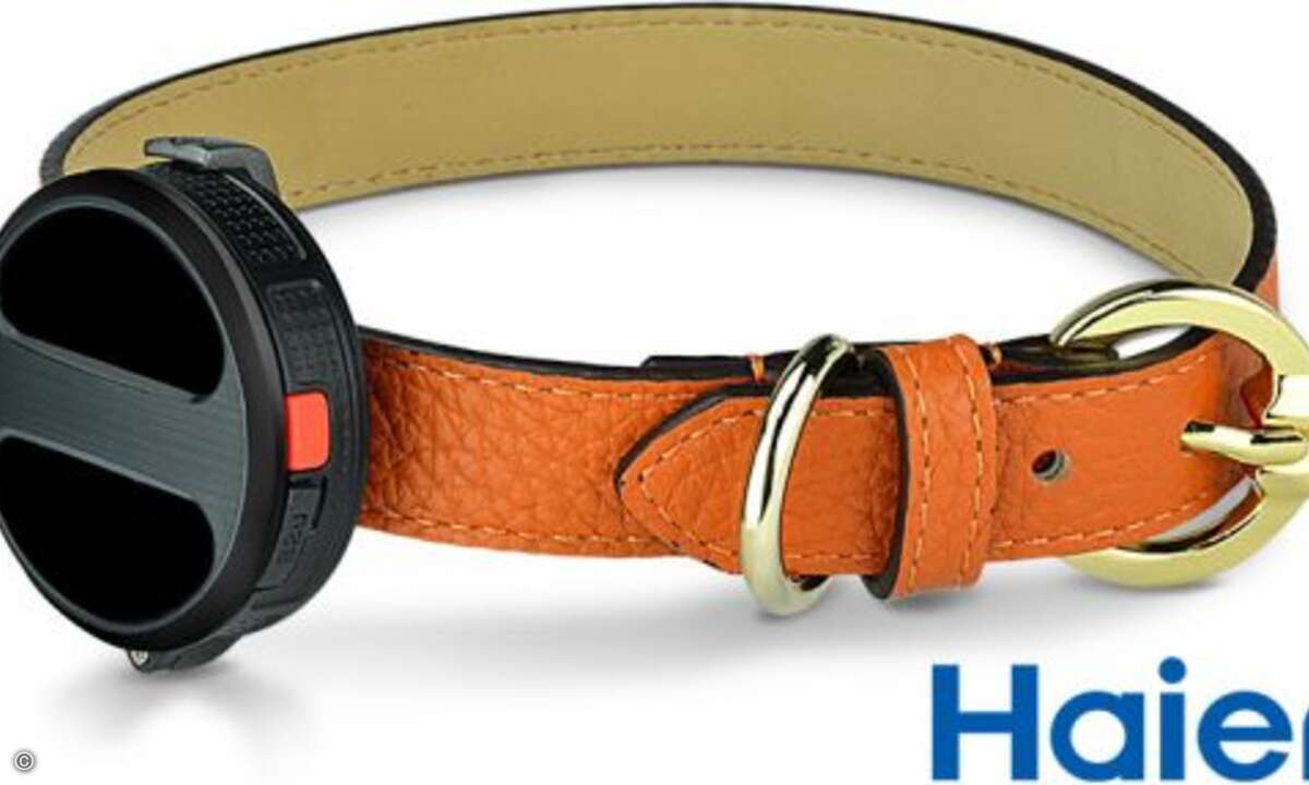 Der Pet-Tracker von Haier ist ein vernetztes Halsband für das Haustier (Bild: Haier)