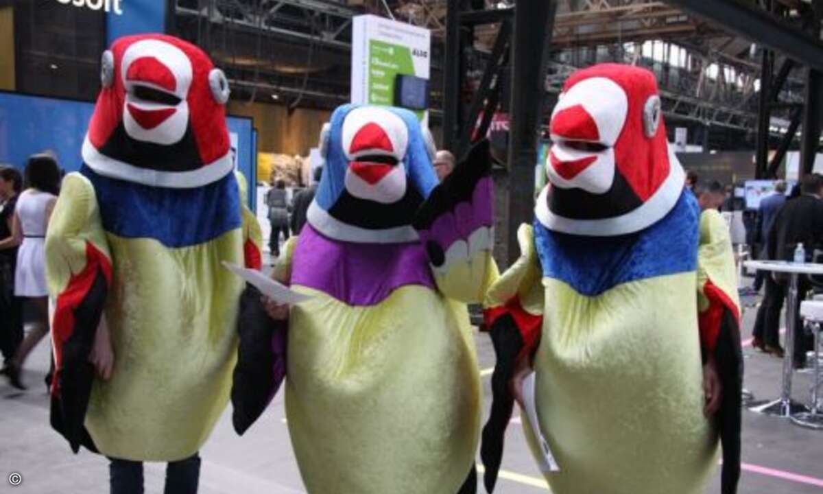 ...und selbst das ein oder andere Vögelchen blieb der Messe nicht fern