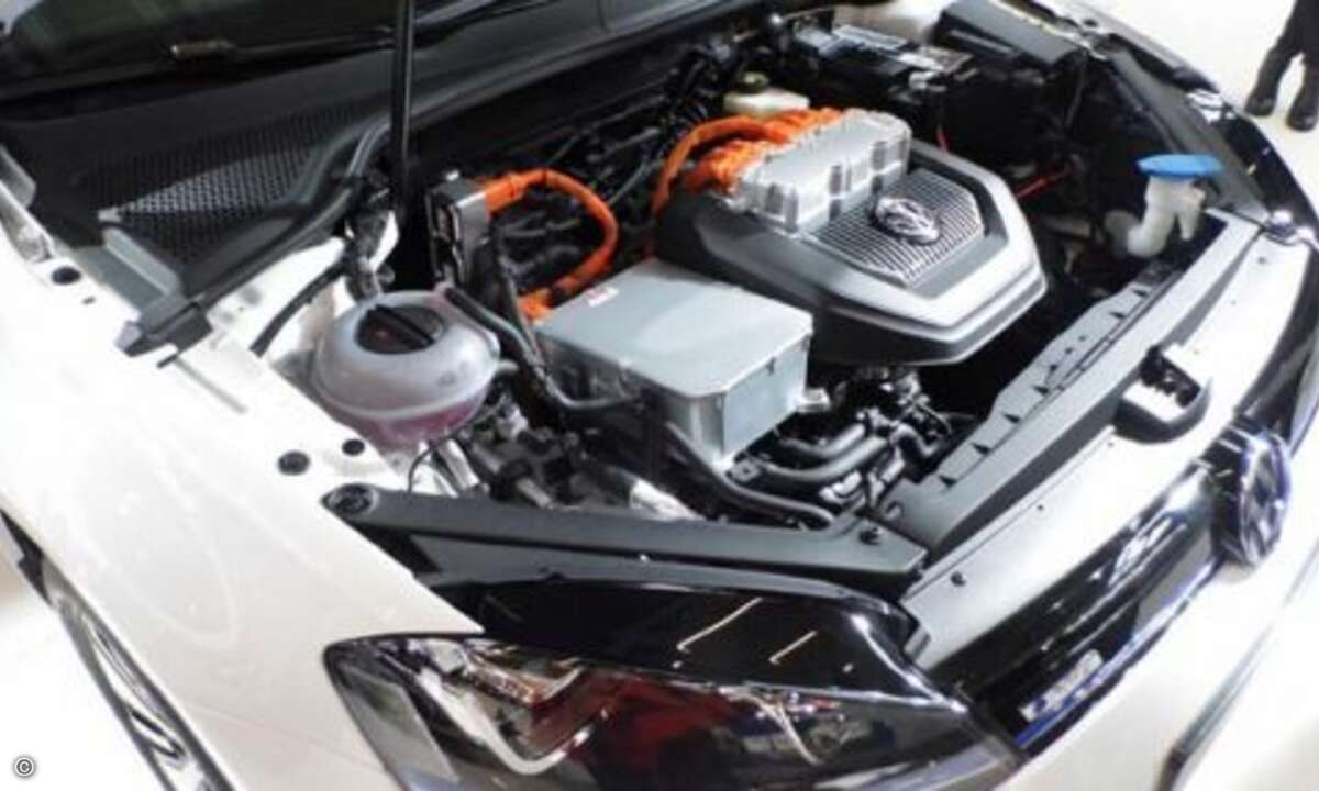 Volkswagen konnte die e-Version seines Golfs insgesamt 601 Mal verkaufen und landet damit auf dem achten Platz. (Foto: Stefanie Eckardt)