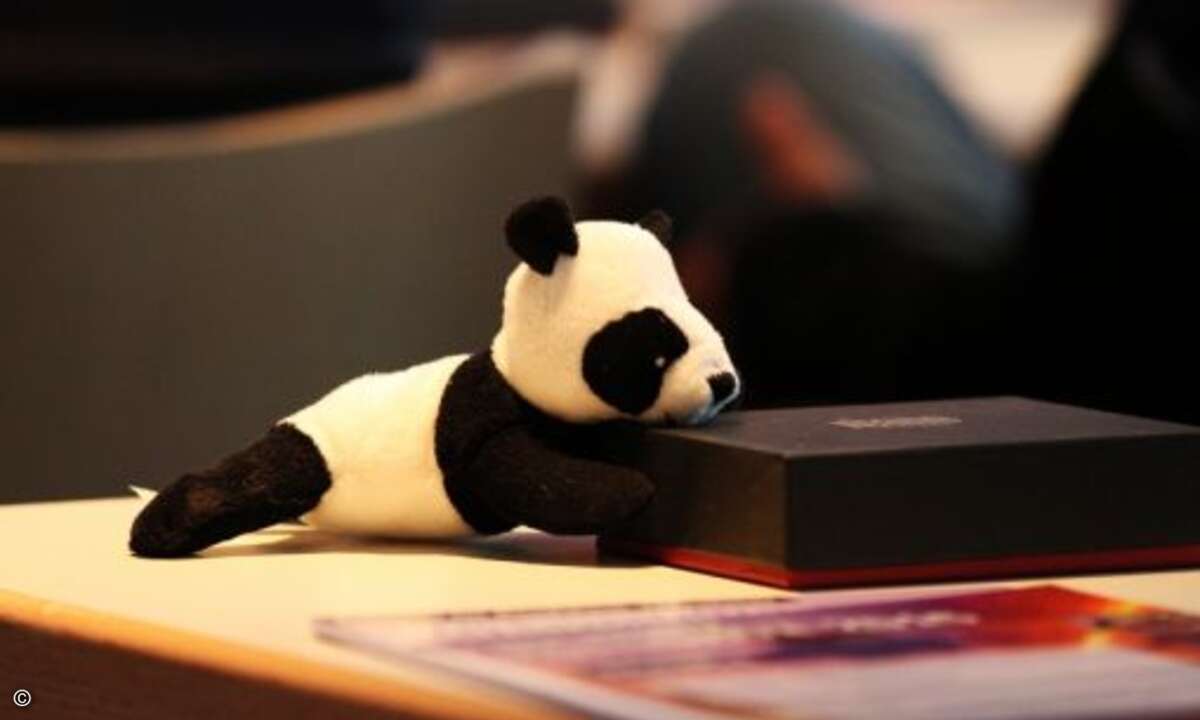 Allgegenwärtig: Der Panda, sei es als Luftballon oder wie hier als Stofftier (Foto: Panda Security)