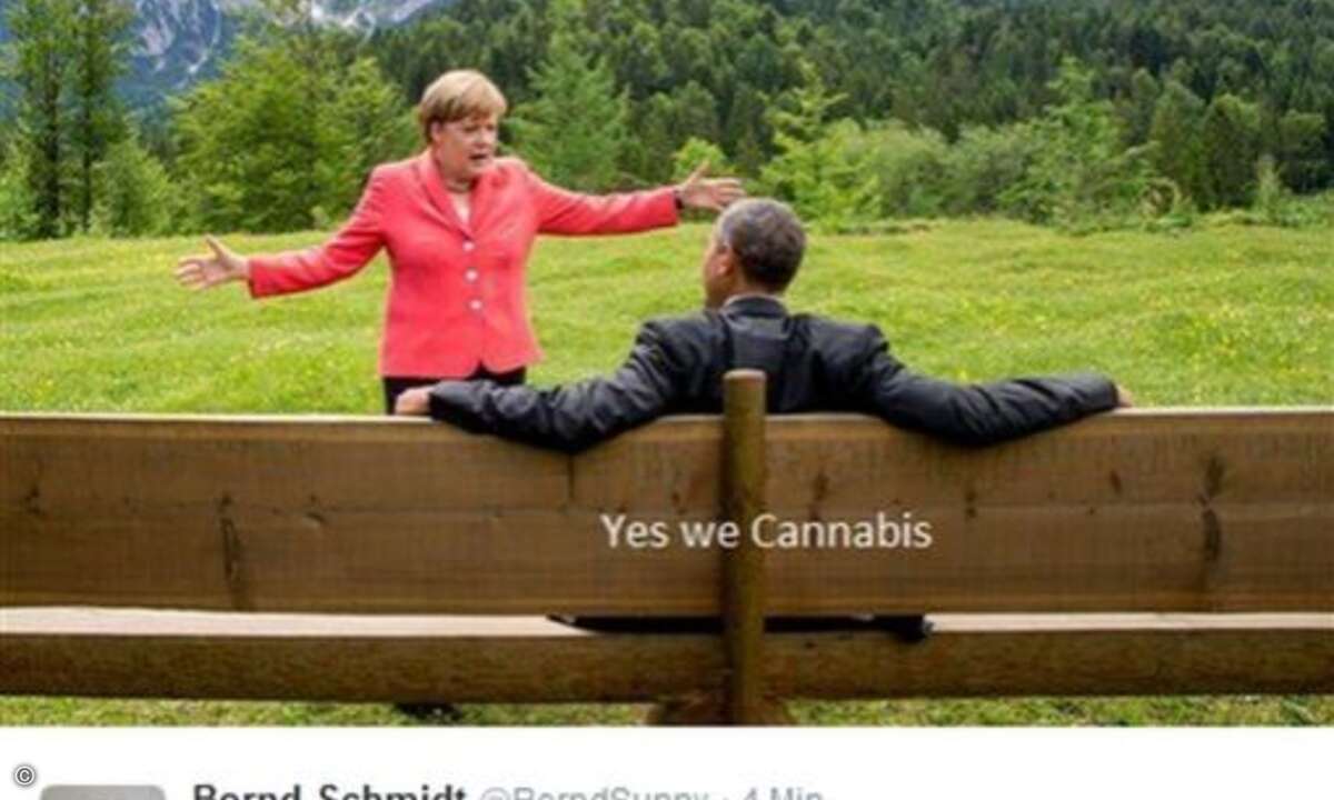 Hauptsächlich ging es bei den #MerkelMemes um politische Statements (Foto: Twitter.com)