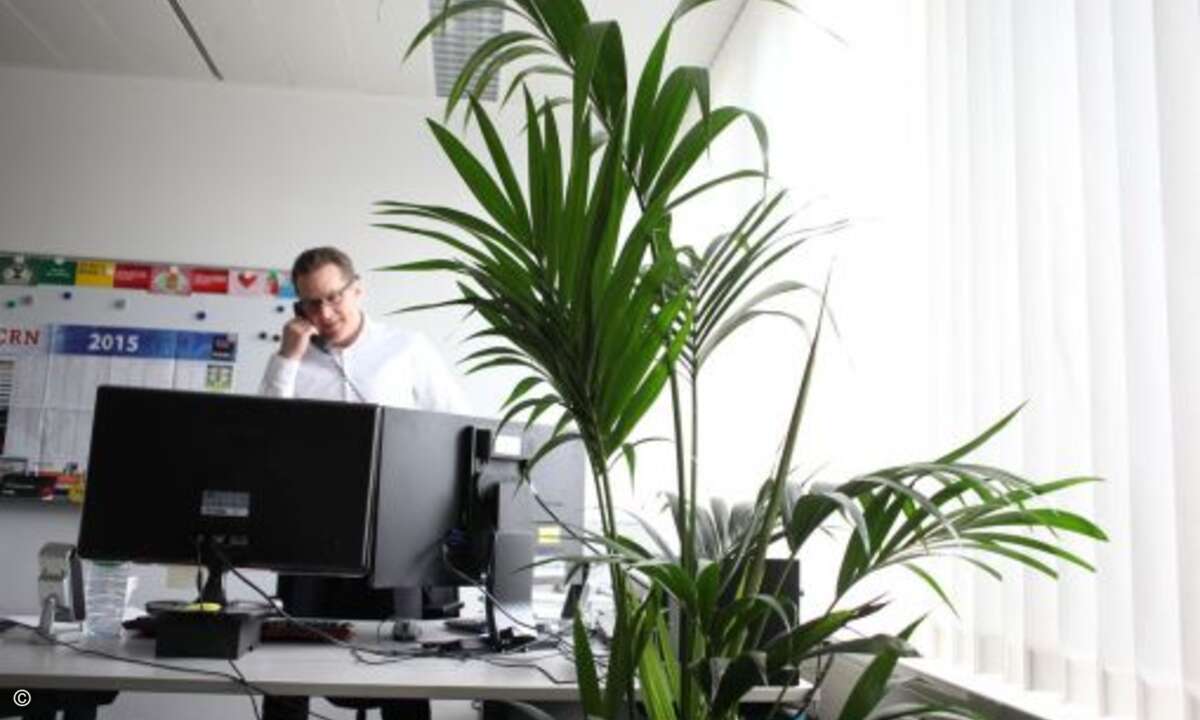 Gesamt-Anzeigenleiter Marc Adelberg in seinem Büro (Foto: Andreas Bohnenstengel)