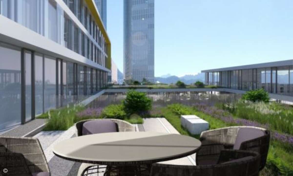 Dazu kommen elf Dachterrassen, die begrünt sind (Foto: Microsoft / GPS Architekten)