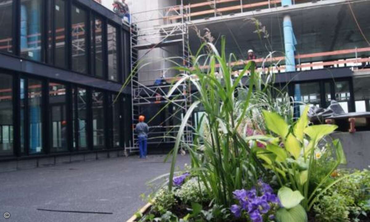 Aktuell finden sich dort aber nur Ansätze von Begrünung (Foto: CRN)