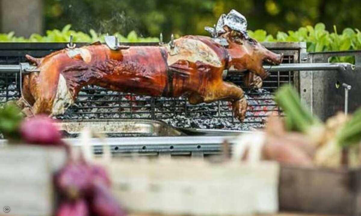 Noch ist das Schwein unangetastet