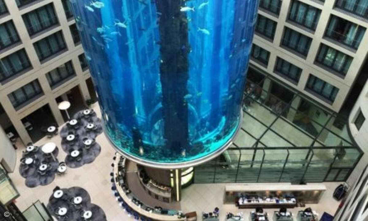 Der »AquaDom« – das größte zylindrische Aquarium der Welt