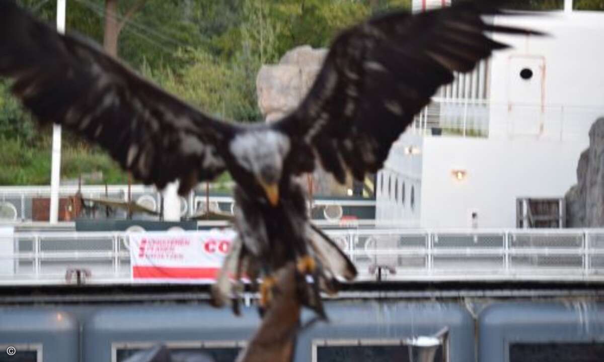 Ach, die Pure Lust am Leben! Keiner hat sie so schön besungen wie Geier Sturzflug! (Foto: CRN)