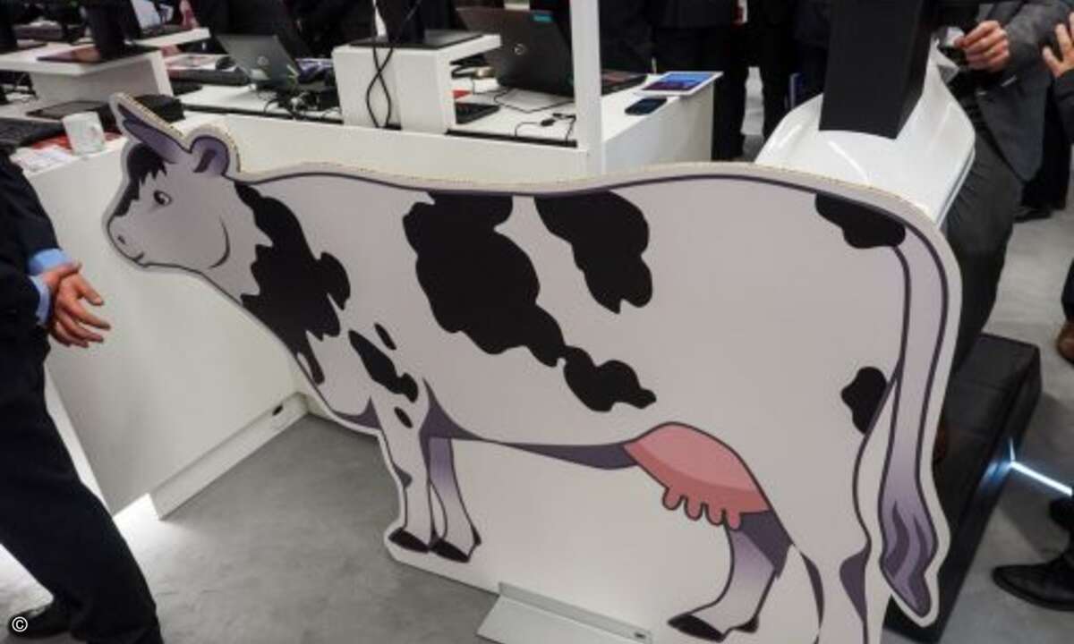 Digitalisierung auch in der Landwirtschaft: Die Connected Cow ist per Cloud bestens vernetzt (Bild: Fujitsu)