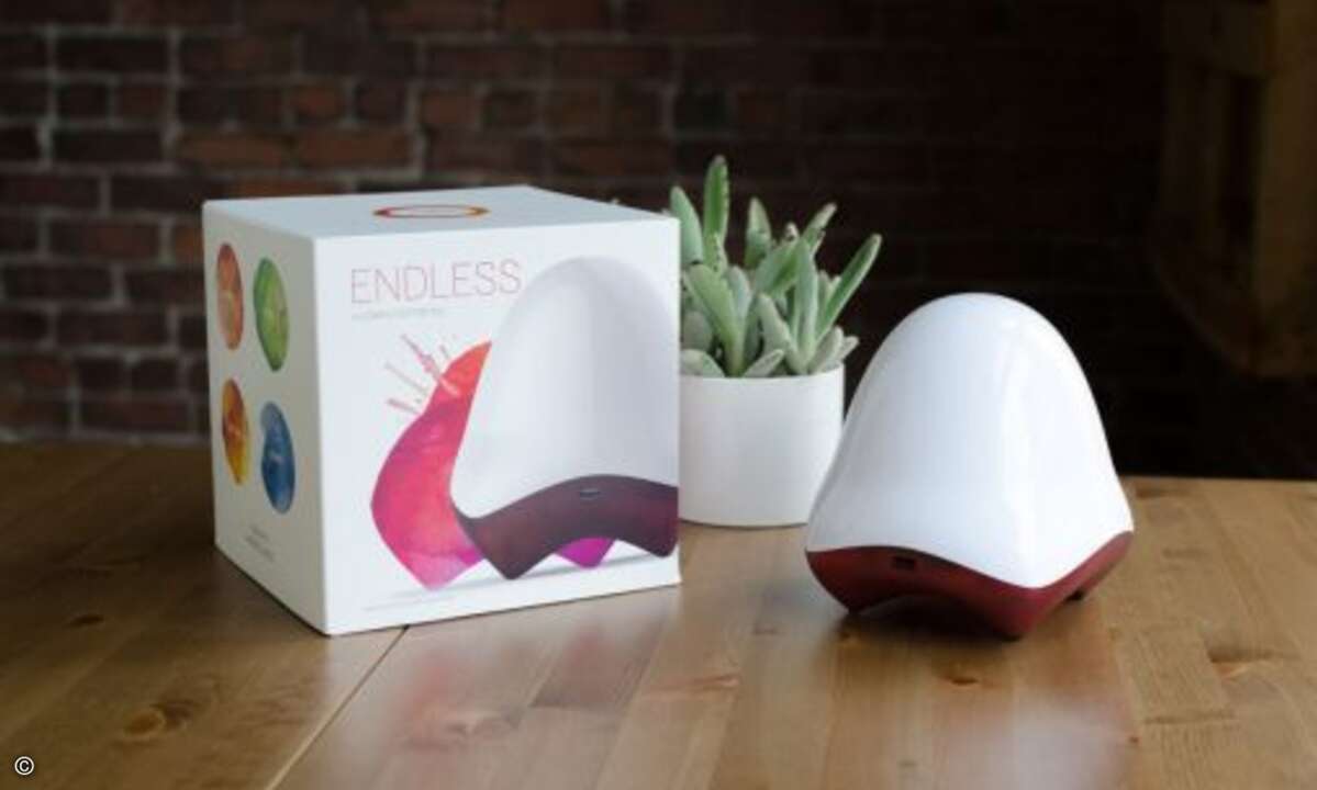 Knapp 80 Dollar soll der Mini-PC kosten (Bild: Endless)