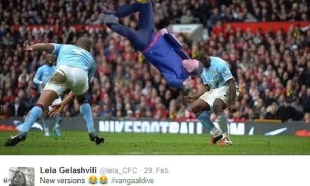 Die Meme der Van Gaal-Schwalbe wanderte durch die gängen Social Media-Plattformen (Foto: Twitter.com)