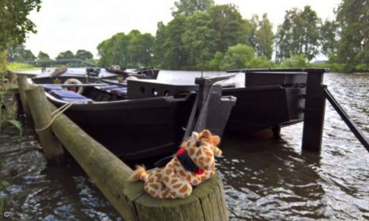 Immer mit dabei: Comteam-Maskottchen Lydia (Foto: Comteam)